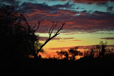 Silhouette trees on field against sky during sunset