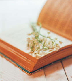 High angle view of food on table