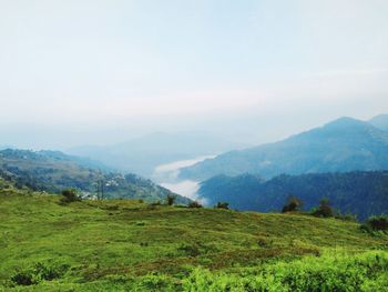 Scenic view of landscape against sky