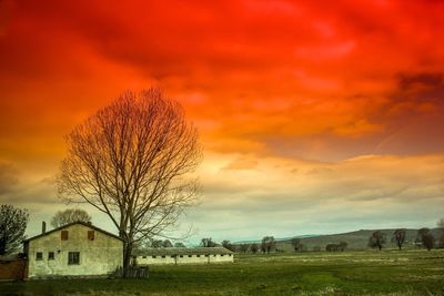 Scenic view of field against cloudy sky