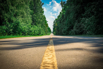 Surface level of road amidst trees against sky