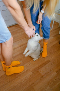 Midsection of woman with dog