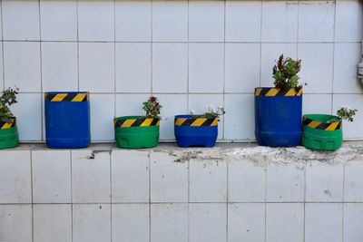 Potted plants against tiled wall