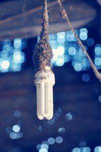 Close-up of illuminated lamp