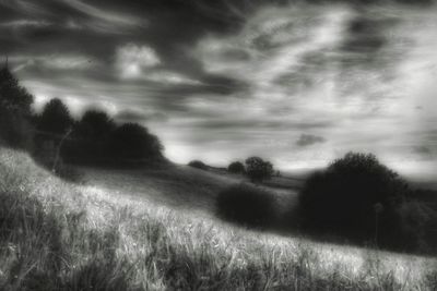 Trees on field against cloudy sky