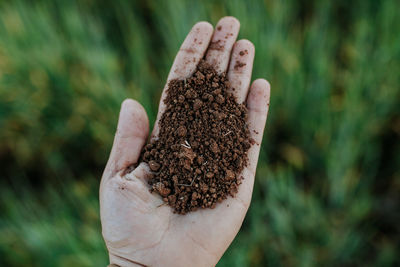 Cropped hand holding dirt