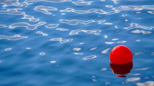 High angle view of floating on water