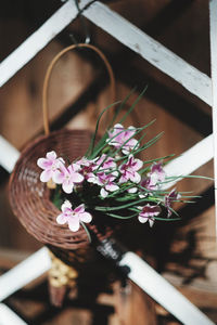 High angle view of potted plant on table