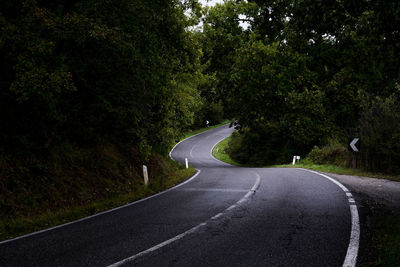 Empty road along trees and plants