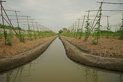 Canal amidst agricultural field against sky