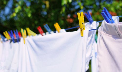 Close-up of clothes drying on clothesline