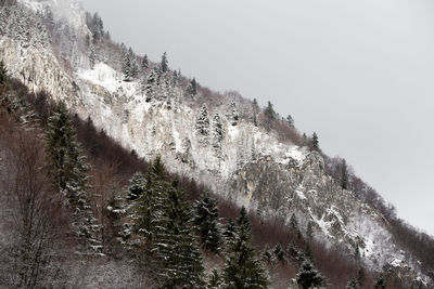 Low angle view of snowcapped mountain against sky