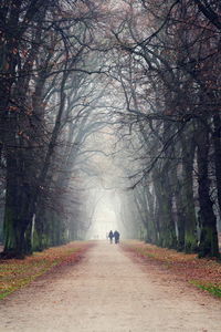 Rear view of people walking on road during autumn