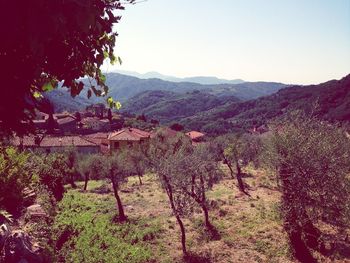 Scenic view of landscape against clear sky