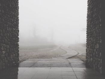Empty footpath amidst trees against sky