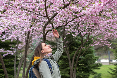 Smiling young woman tourist near blossoming sakura tree touching twig, pink cherry flowers spring 