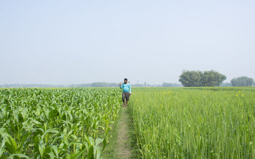 Man walking in field