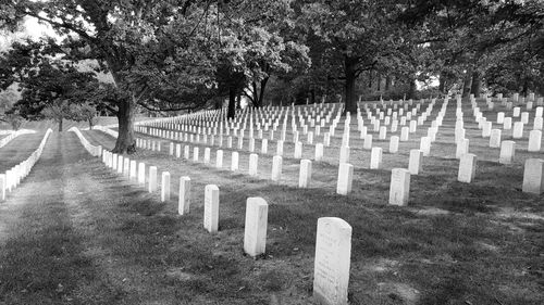 Row of cemetery against trees