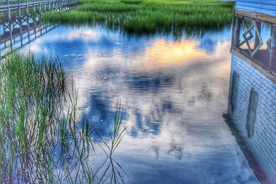 Reflection of tree in lake