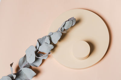 Directly above shot of hand holding paper over white background