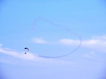 Low angle view of bird flying in sky