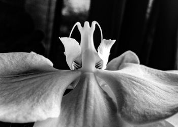 Close-up of white background