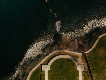 High angle view of old tree by water