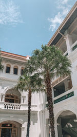 Low angle view of palm trees by building against sky