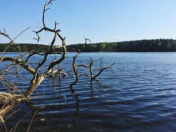 Scenic view of lake against clear blue sky