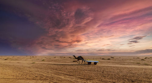 Horse riding horses on landscape against sunset sky