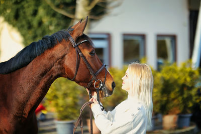 Horse and rider