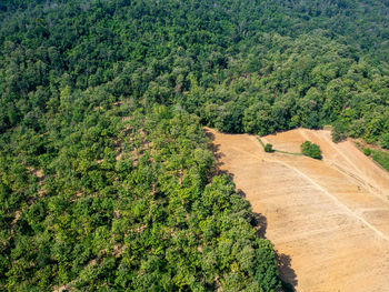 High angle view of road amidst trees in forest