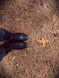 High angle view of shoes