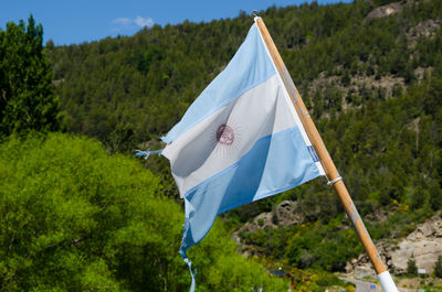 Panoramic view of flag and trees against sky