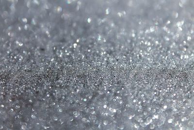 Close-up of water drops on leaf