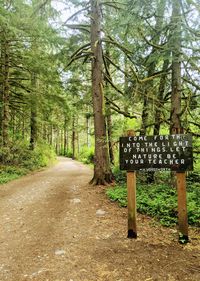 Road amidst trees in forest