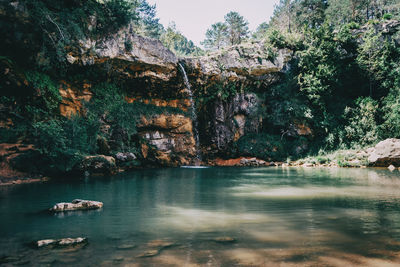 Scenic view of lake by trees