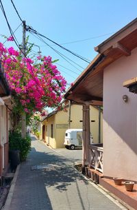 View of buildings along flowers