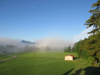 Scenic view of agricultural landscape against blue sky during foggy weather