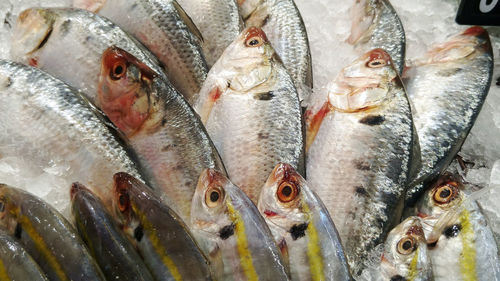 Full frame shot of fish for sale in market