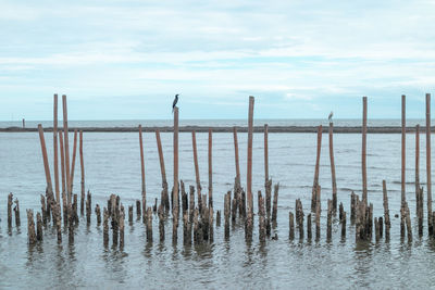 Wooden posts in sea against sky