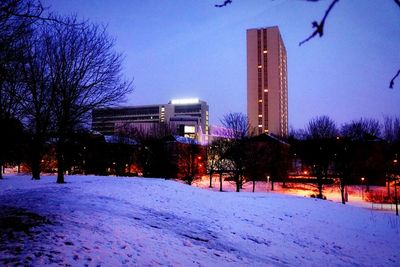 Snow covered trees in city at night