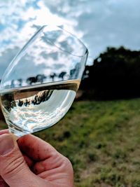 Close-up of hand holding glass of wine