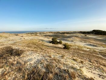 Scenic view of landscape against clear sky