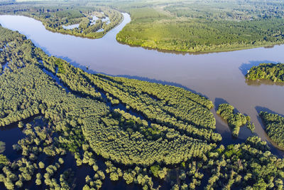 Aerial view of the danube river and its floodplain in serbia and croatia