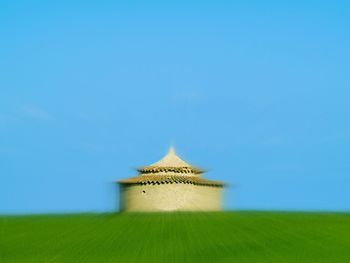 Close-up of grassy field against clear sky