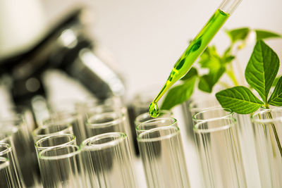 Close-up of liquid pipetting in test tubes in laboratory