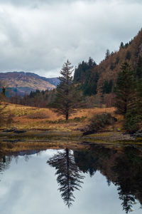 Reflection of trees in lake against sky