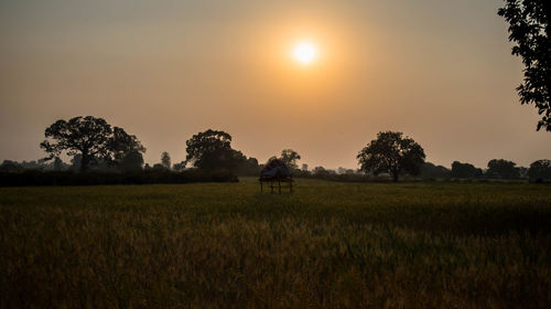 Scenic view of grassy field against sky at sunset