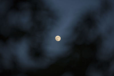 Low angle view of moon against sky at night